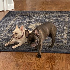 Meet your Posher, Suzanne